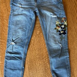 Zara Blue Skinny Jeans with Floral Embroidery
